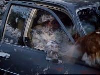 Click to watch 'The Sound of Music - Hazzard...' (popup) The Dukes Of Hazzard